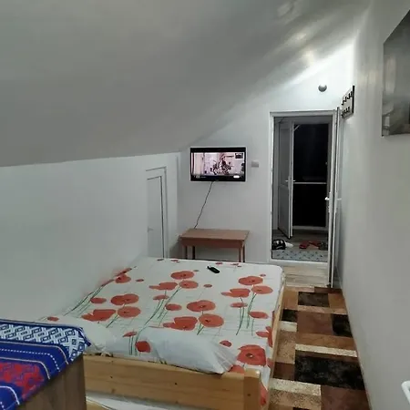 Séjour chez l'habitant Dubla Cu Baie Proprie *