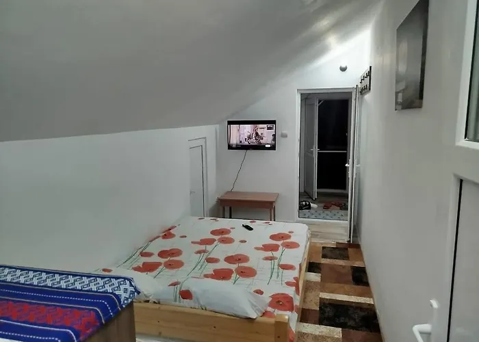Homestay szállás Dubla Cu Baie Proprie *